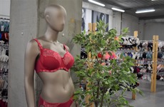 Lingerieoutlet Deinze - persopening november 2019 
