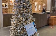 Kerst en Eindejaar Driespoort Shopping 2020