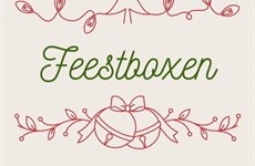Kerst en Eindejaar Driespoort Shopping 2020