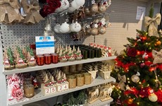 Kerst en Eindejaar Driespoort Shopping 2020