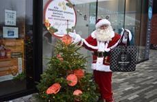 Kerst 2021 Winter Wonder Driespoort