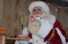 Kerst 2021 Winter Wonder Driespoort