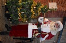 Kerst 2021 Winter Wonder Driespoort