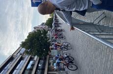 Deinze Koerse - 23 juli 2025