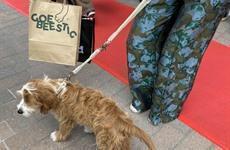 Catwalk aan de Leie Deinze 2025
