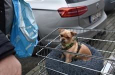 De Kerstman met Driespoort-kerstelfje – deel 2