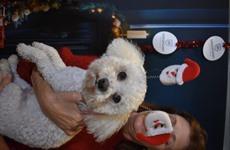 De Kerstman met Driespoort-kerstelfje – deel 4