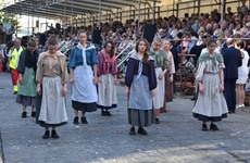 Deelname Driespoort aan Canteclaer Stoet 2017