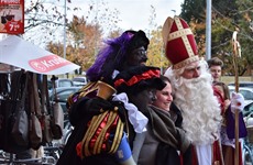 Sint op Driespoort 2017 deel 2