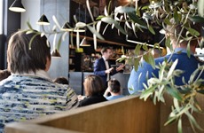 Cruise Conference Nick Hollevoet in Grand Café Driespoort 26.11.2017