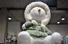 Driespoort Kerstfestival 2017