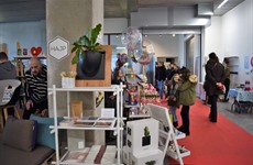Zotwijs in Driespoort Shopping Deinze 2018