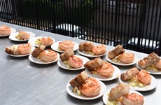 Zomergrillen 2018 - opnames AVS 
