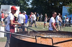 Tour de France - Templeuve 2018 deel 2