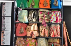 Mercado expo – week 1