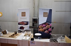 Mercado expo – week 1