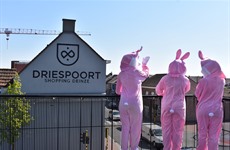 Driespoort Shopping Birthday april 2019