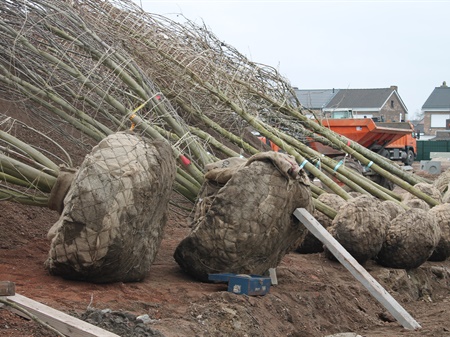 Klaar om te planten